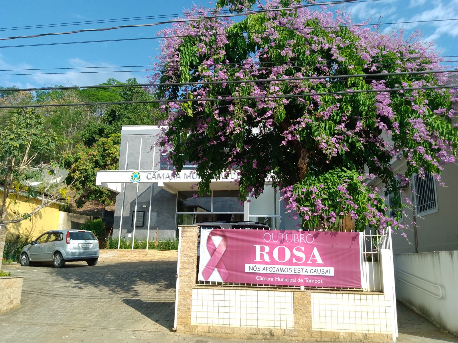 Campanha Outubro Rosa